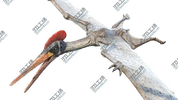 images/goods_img/20210312/3D model Pterodactyl/4.jpg